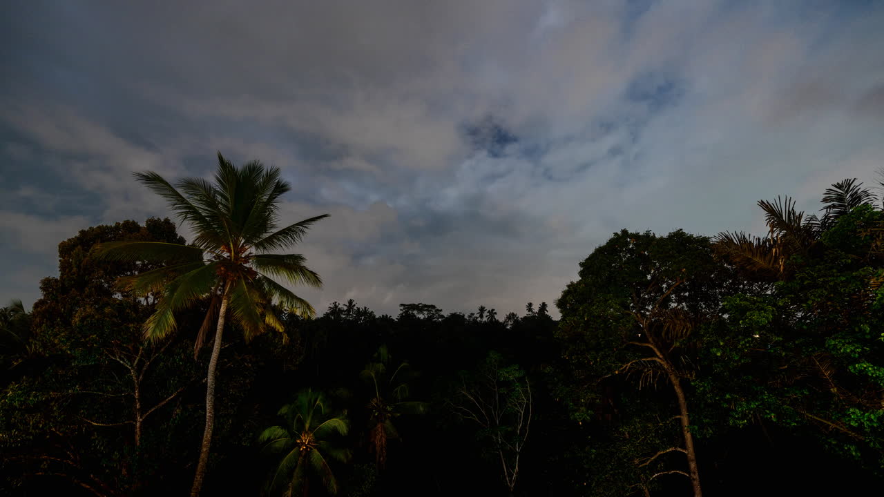 숲의 나무 위에서 하늘을 움직이는 구름의 시간 흐름