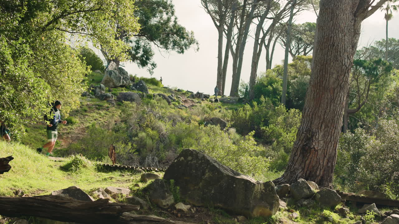 People running on a trail in a forest
