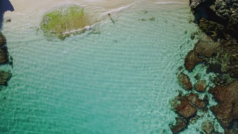 Aerial-view-over-a-person-in-Salmon-Bay,-Rottnest-Island,-Australia--ascending-birds-eye,-drone-shot