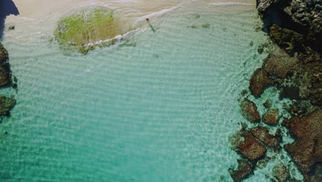 aerial view over a person in salmon bay, rottnest island, australia- ascending birds eye, drone shot