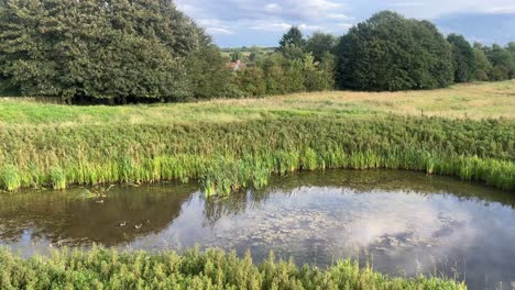 Moorland-lake,-river-flowing-through-the-countryside