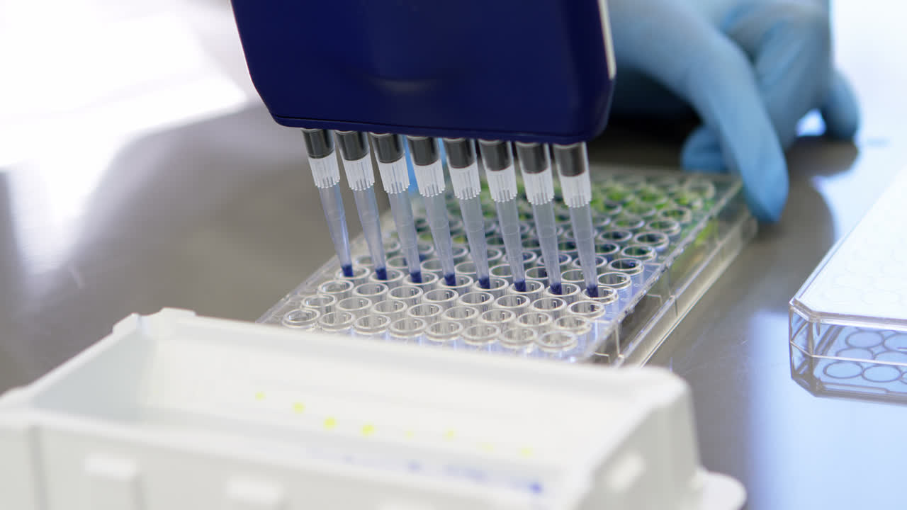 Scientist using multi channel pipette 4k