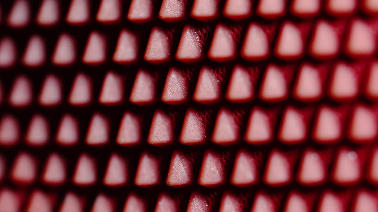 movimientos de cámara estables y cambio de enfoque para obtener la mejor perspectiva de este hermoso patrón rojo, tomado con la sony a7iii y la lente macro de 90 mm