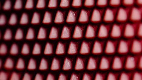 stable camera movements and change of focus for the best perspective of this beautiful red pattern, shot with the sony a7iii and macro lens 90mm