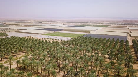 beautiful aerial shot of arava desert in israel overlooking agriculture fields