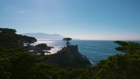 lone cypress tree at 17-mile drive in monterey, california, near big sur