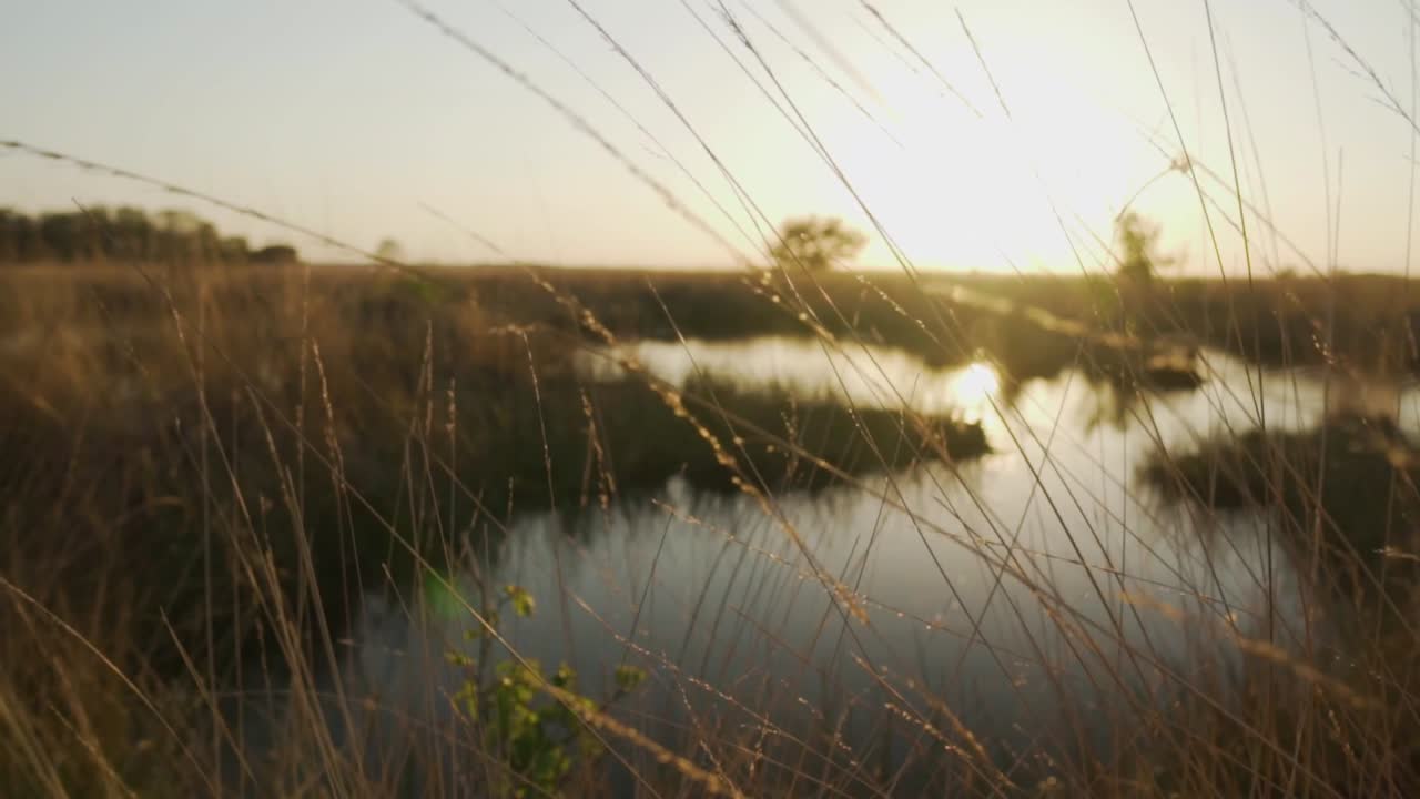 puesta de sol sobre un pantano