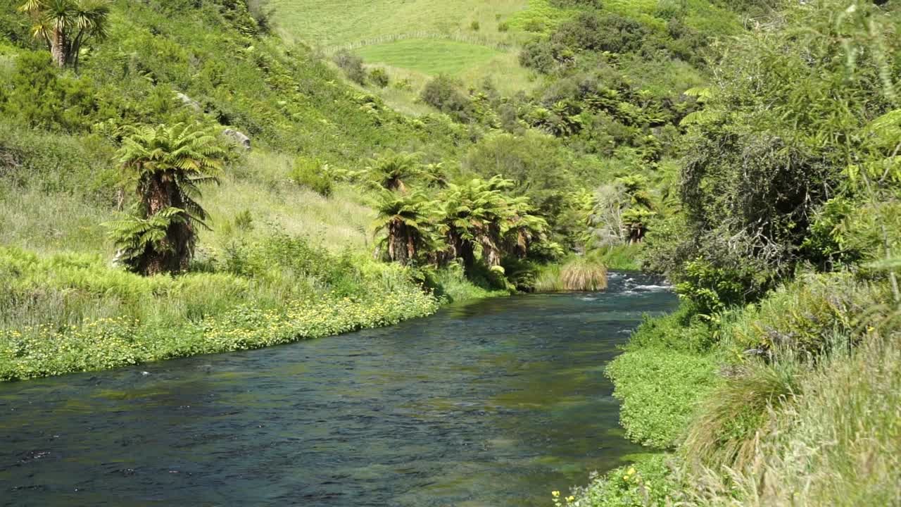 SLOWMO - Peaceful scene of Te Waihou Putaruru Blue Spring in New Zealand