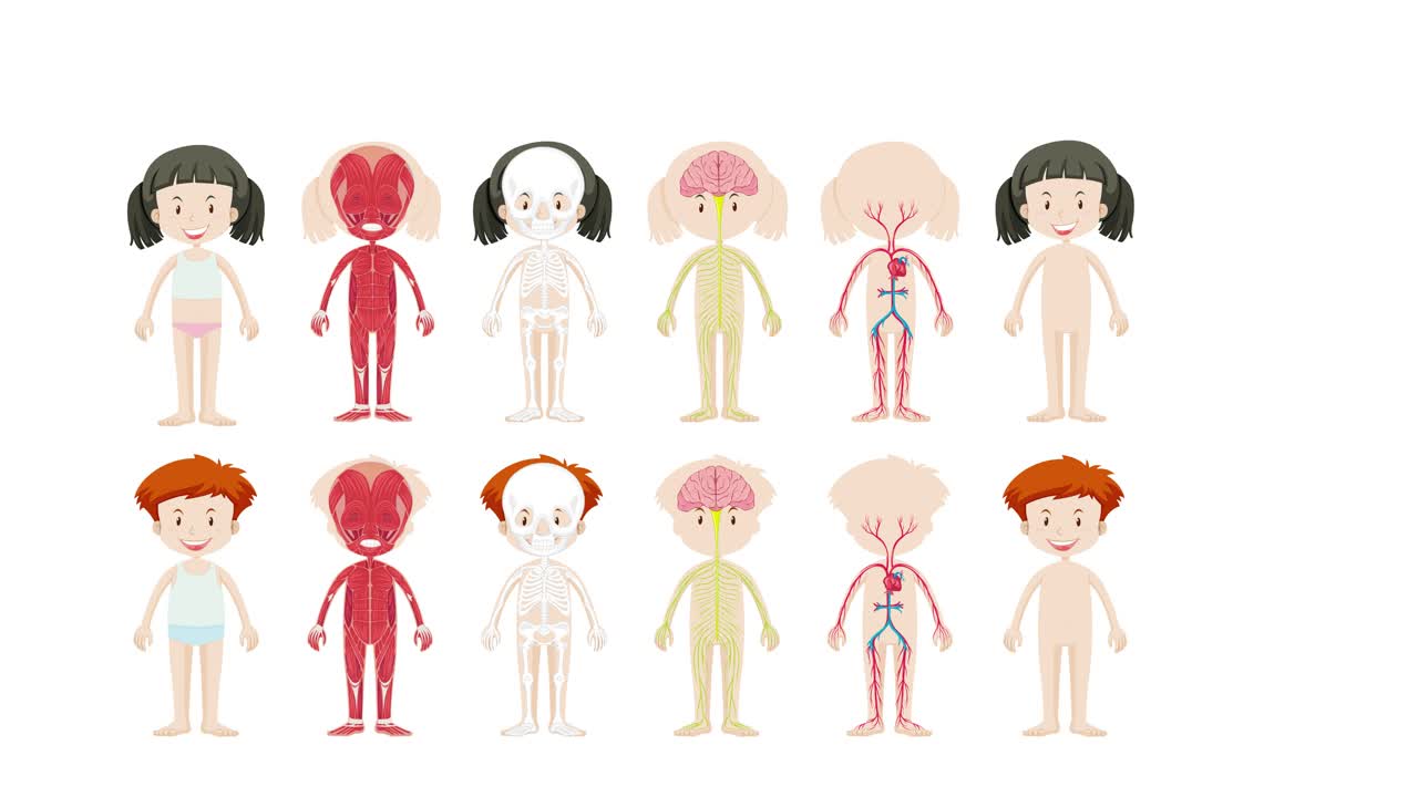 인간의 신경계와 신체 부위의 일러스트레이션