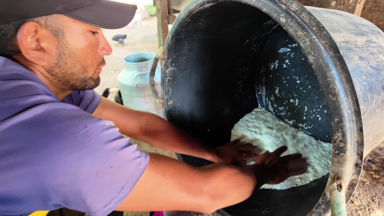 Medium shot capturing the hands-on, traditional labor of a cheesemaker pressing the fresh buffalo milk curd to release the whey, set against a rustic farm backdrop with livestock