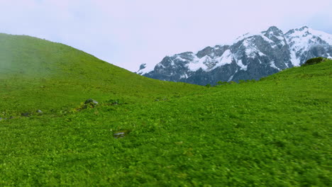 green grassland in nepal pokhara hills