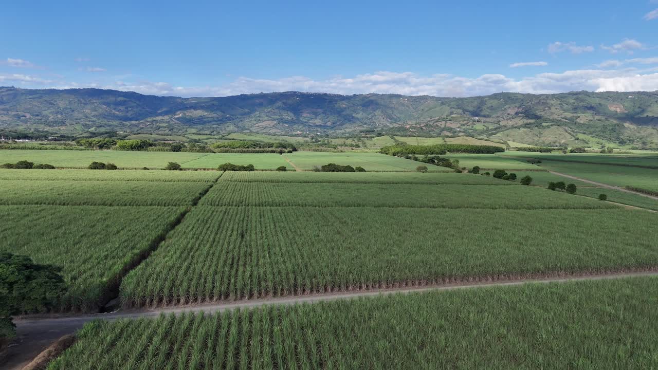 Hilly terrain with trees and winding river