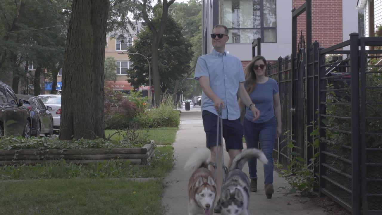 A couple on a walk through the streets of Chicago, Illinois. Walking along the sidewalk with their two energetic dogs
