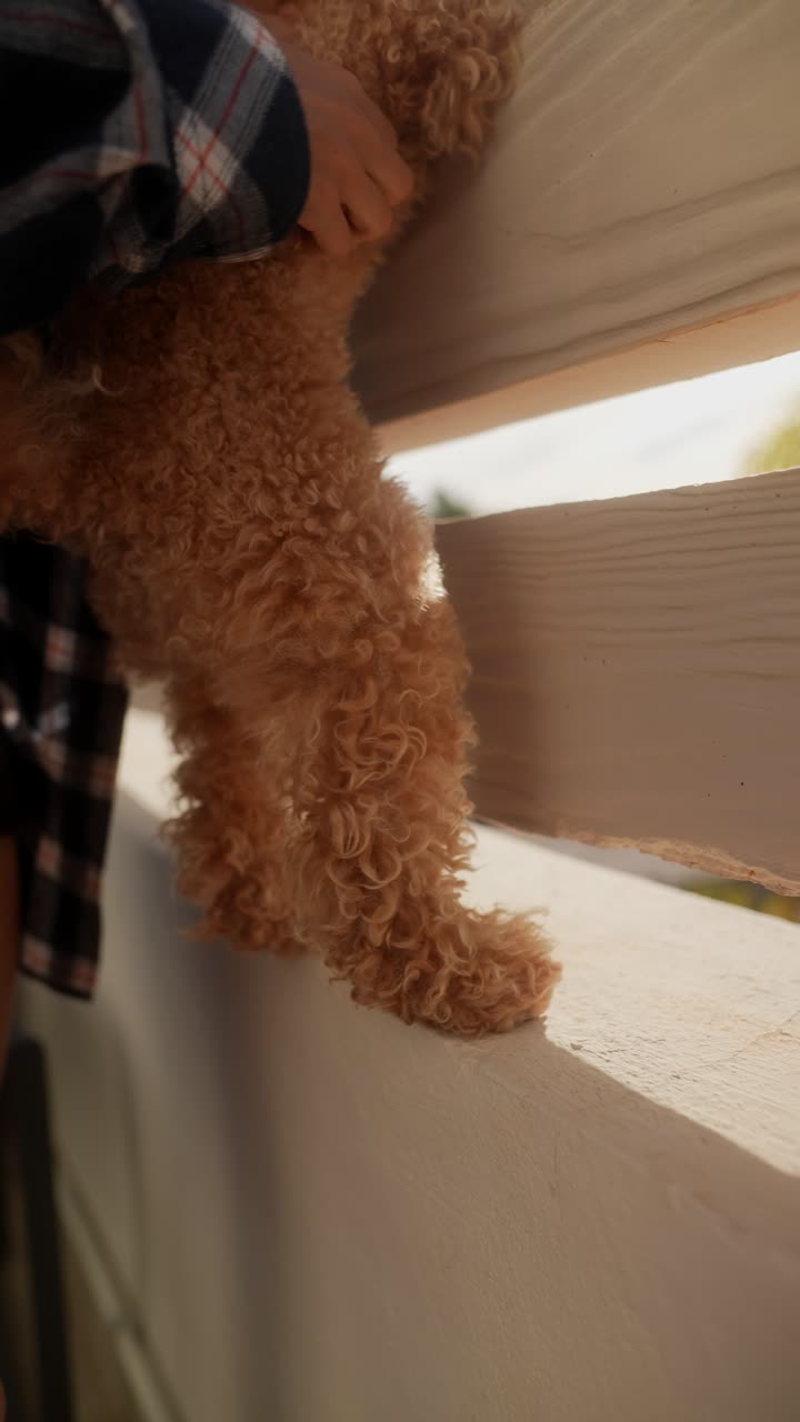 una mujer con un caniche afuera.