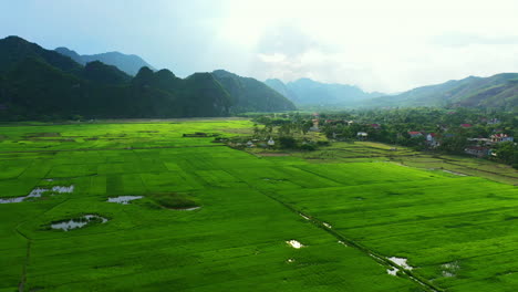 the goodness of greenery