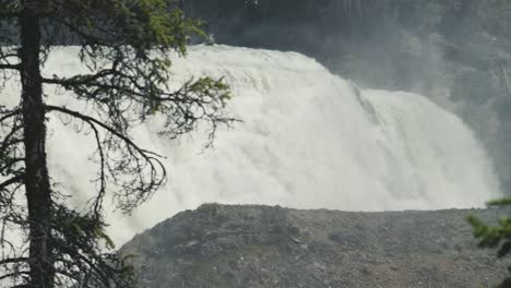 una hermosa toma cinematográfica de un solo pino, con la dramática cascada de wapta en el fondo