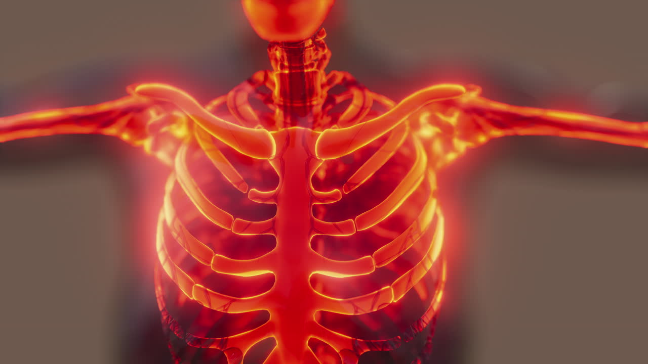 huesos esqueléticos brillantes de humanos