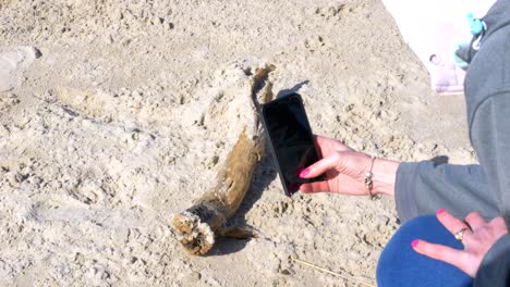 una mujer está usando su teléfono para tomar una foto de una rama encontrada en la playa