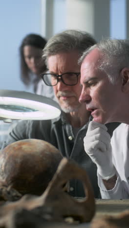 scientists examining ancient skull in lab