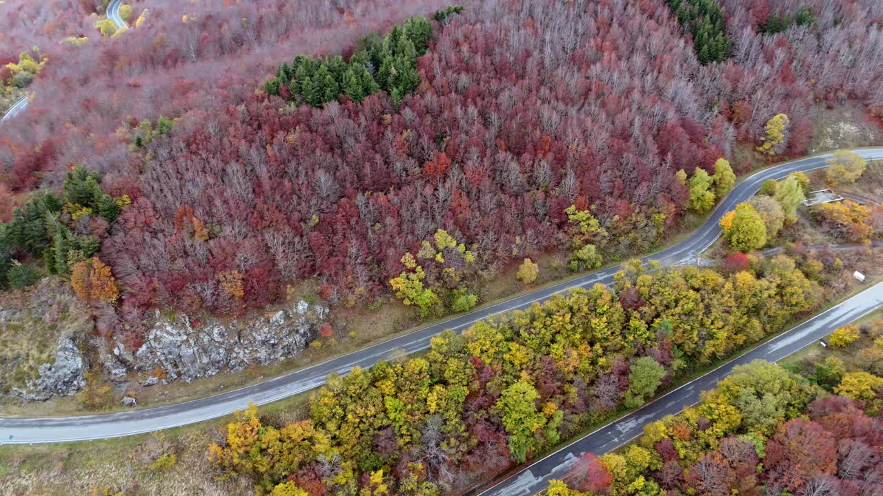 Aerial view of vibrant autumn forest and winding road in a serene setting
