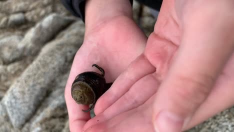 Small-hands-holding-an-active-hermit-crab-over-the-rocky-sea-shores-of-Garrapata-State-Park,-Monterey-County,-California