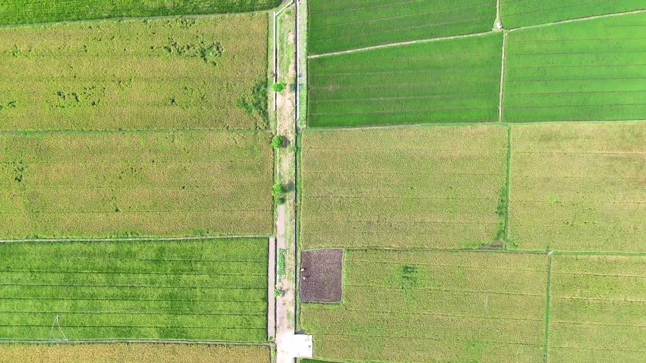 의 공중 에서 볼 수 있는 모습