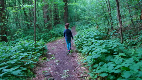 little girl walking on a footpath, alone in dark, spooky forest-1