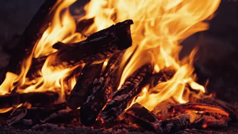 bonfire. burning logs in orange flames. beautiful fire burns brightly. embers of the fire climb up. slow motion
