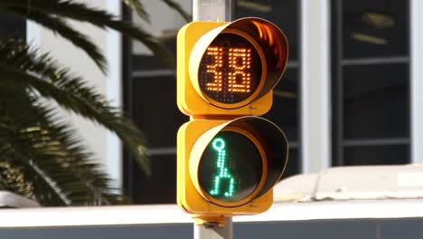 Mexico-City-Traffic-Light0