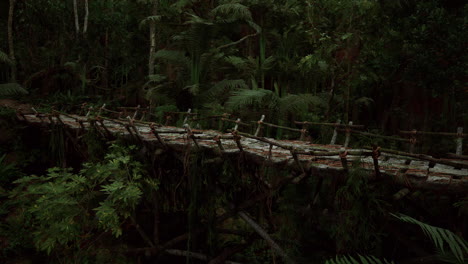 footbridge surrounded by lush rainforest in peru near twilight hours