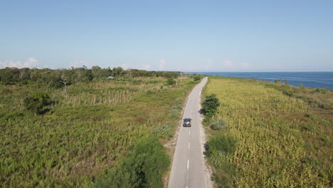 a lone vehicle driving on a narrow road along lush meadows heading towards the beach at sumba island, indonesia