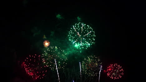 multiple colorful fireworks fill the night sky.