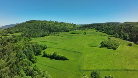 picturesque view on lush green meadow in beskidy mountains, poland