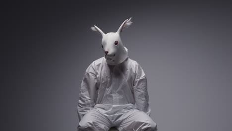 person wearing rabbit mask and protective suit