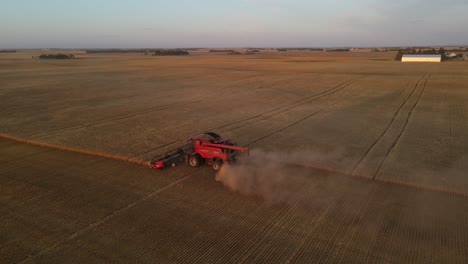 aerial drone view from above of a modern combine harvester reaping cereals at sunset in alberta, canada