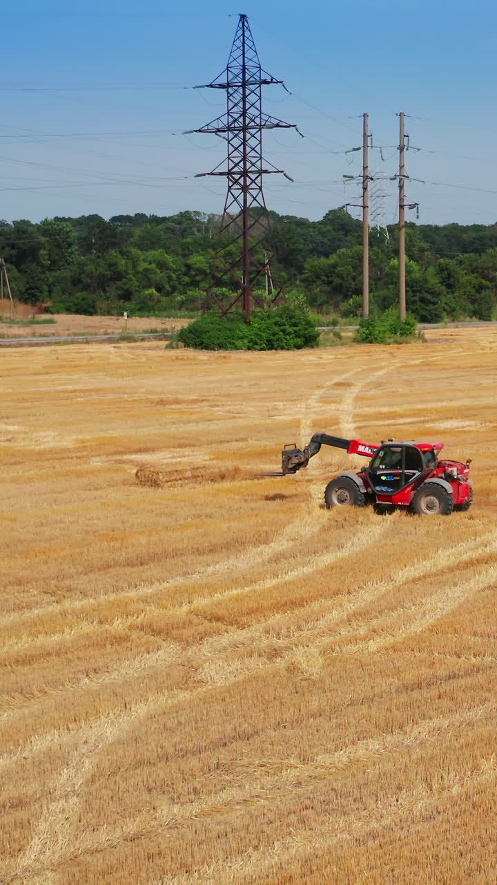 Farm aerial harvesting by combine. Golden agricultural golden combine harvesting. Vertical video