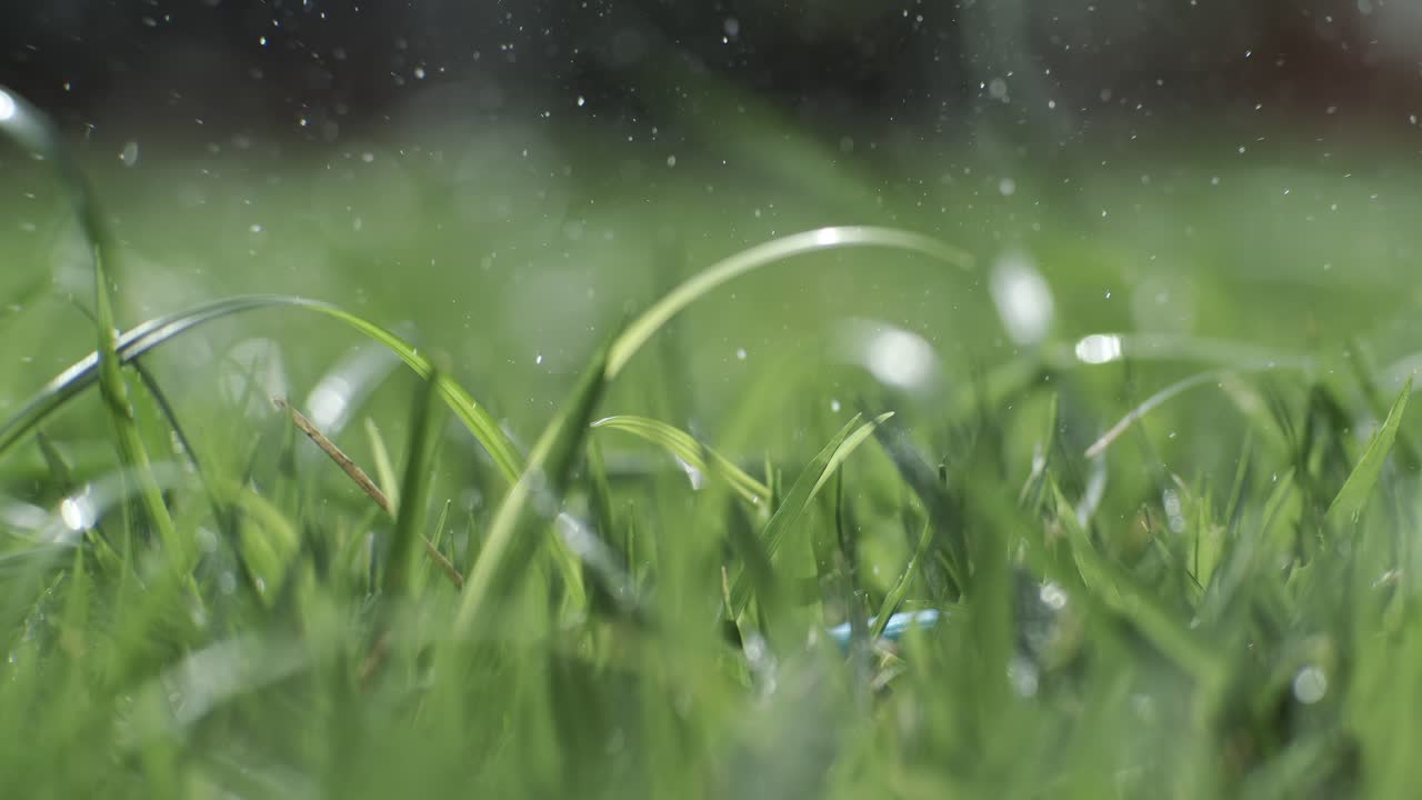 Golf club hits a white golf ball in a super slow motion. Drops of morning dew and grass particles rise into the air after the impact. Shot on super slow motion camera 1000 fps.