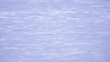 ocean-water-waves-blue-purple