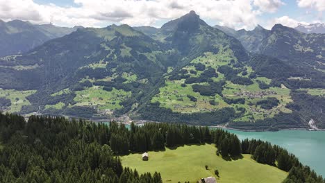 revealing aerial view of lake walensee, switzerland, with alpine meadows, dense forests, and majestic mountain peaks under a bright summer sky