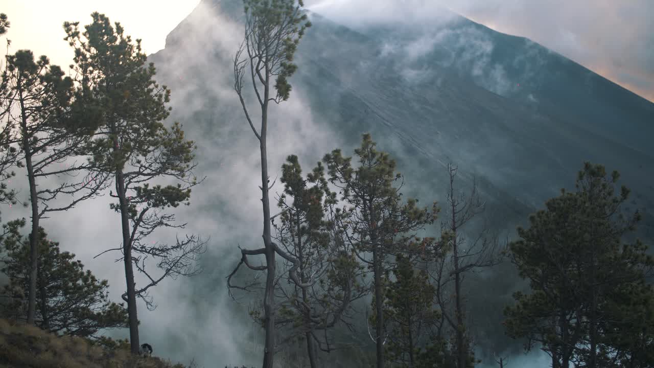 nubes brumosas en un bosque durante una caminata por el volcán - imágenes de mano en guatemala