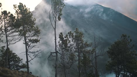 misty clouds in a forest during a volcano hike - handheld footage in guatemala