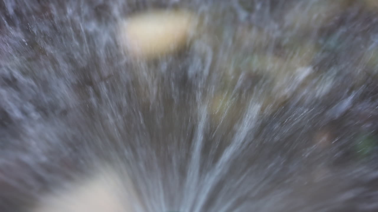 Close up of a water sprinkler in action, spraying water across grass and plants