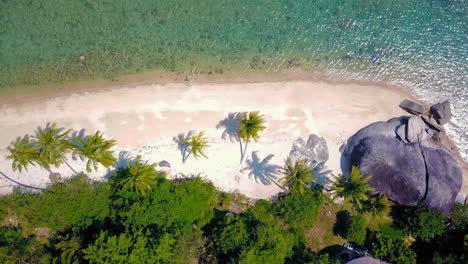 Tropical-sand-beach-with-palm-trees-in-sunset,-sunrise,-aerial-dolly-shot-flying-through-the-trunks,-wild-pristine-beach-in-Hawaii