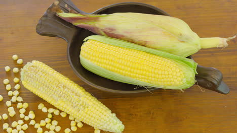 maíz blanco y amarillo de las américas