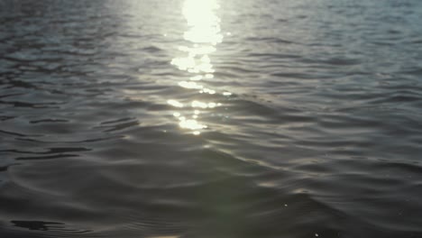 dreamy sunlight beautifully reflecting on surface of lake