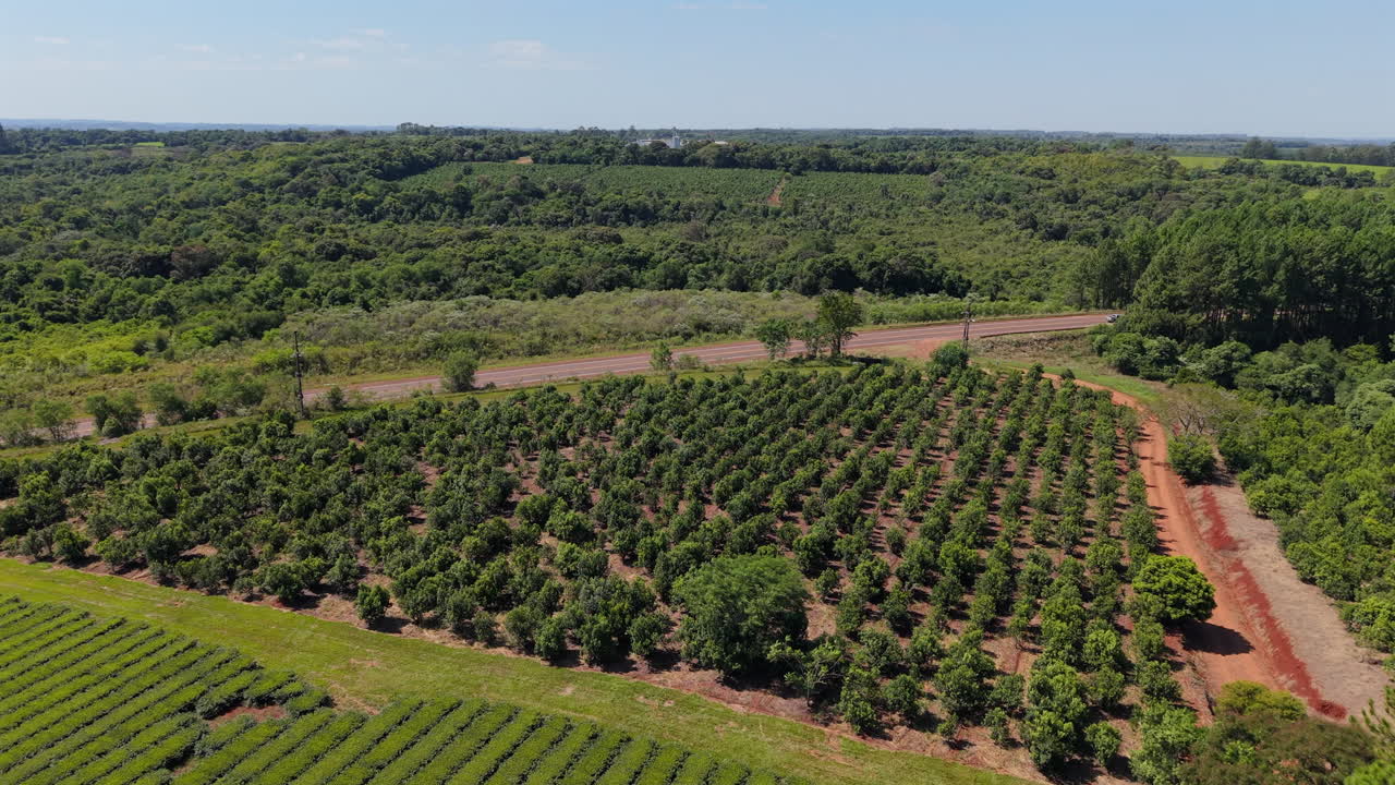 Vehicle traveling through agricultural landscape, Yerba Mate plantation, Argentina