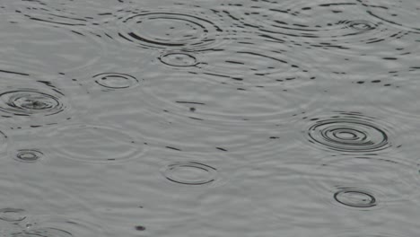 4k falling rain water on the lake