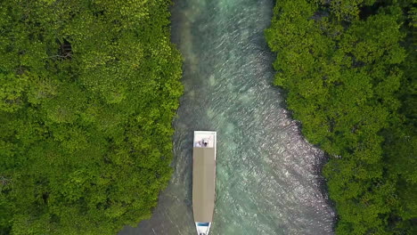 boat-in-the-middle-of-the-mangrove-forest