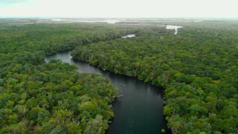 cinematic aerial footage of a winding river cutting through a vast tropical forest, dolly in shot