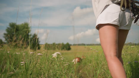 dog trainer throws toy into distance while her dog excitedly runs after it in vast grassy field under clear sky, trainer holds ropes in her left hand, showing playful outdoor interaction